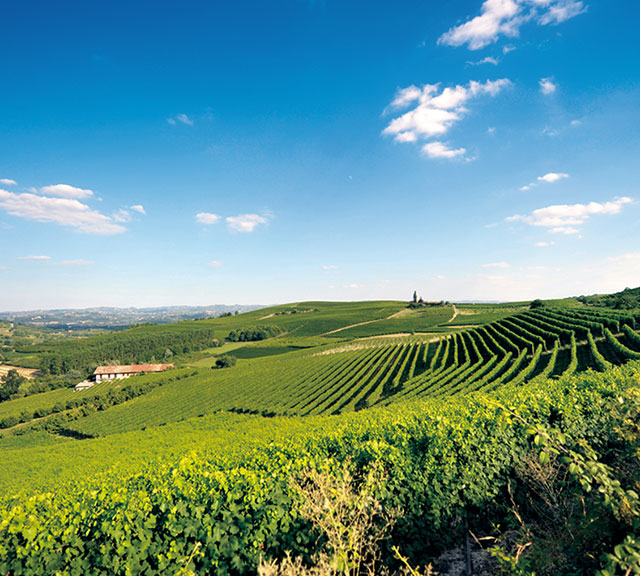 Cantina Del Nebbiolo
