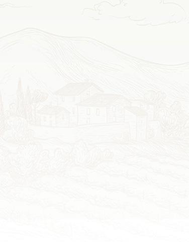 Header background mobile