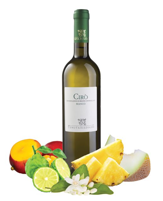 Tenuta Iuzzolini – Cirò Bianco